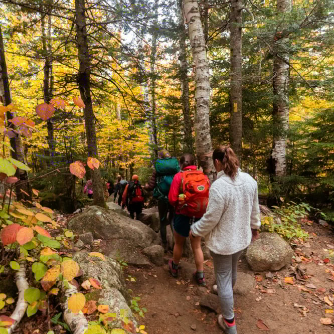 20181006_doc_fall_weekend_sz_SQUARE 20181006_doc_fall_weekend_sz_SQUARE