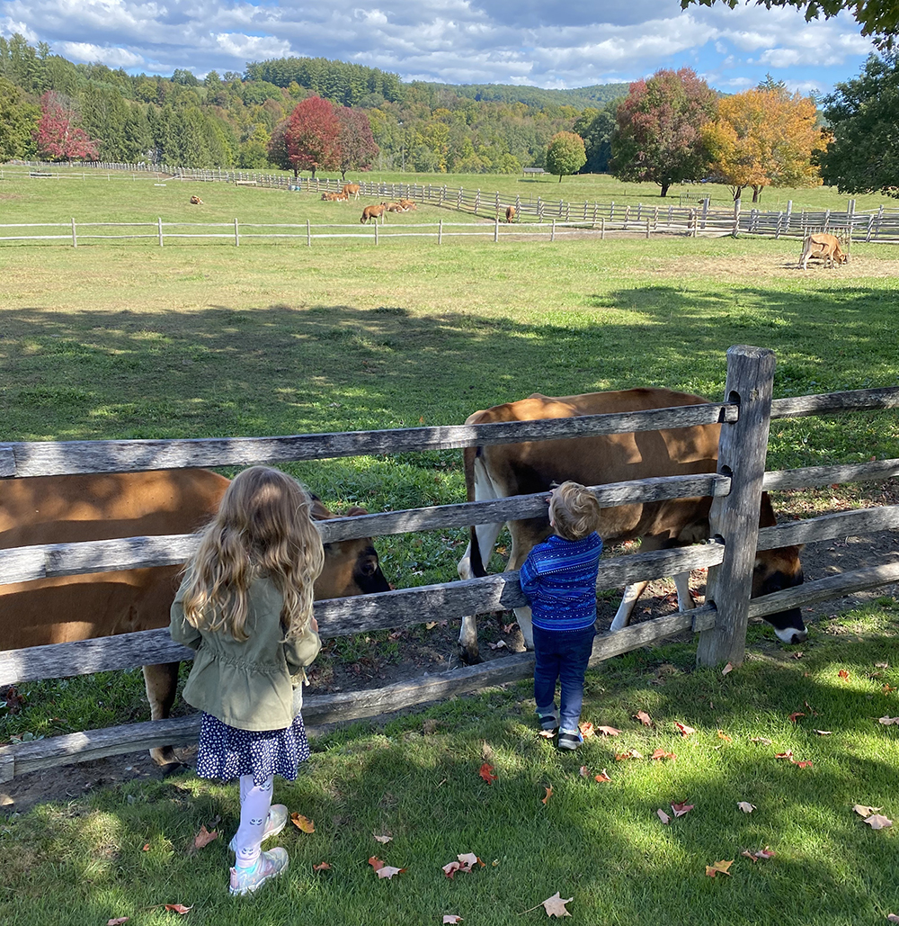 Billings_Farm Billings_Farm